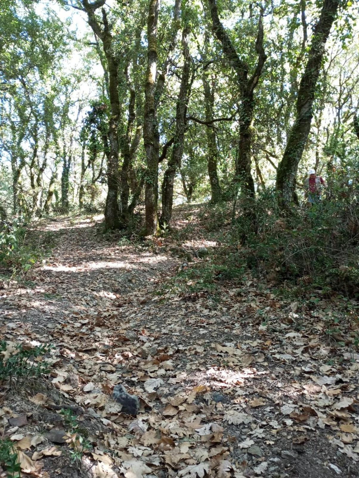 דירות Santa Margherita di Belice La Casa Di Enza מראה חיצוני תמונה